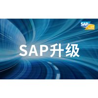 SAP用户如何敏捷应对系统挑战赋能业务及发展