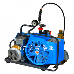 霍尼韦尔空呼充气泵BC163099B JUNIOR空压机