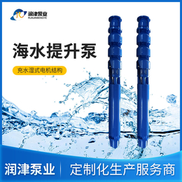 润津QJH海水提升泵生产厂家 材质可定制化生产
