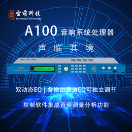 广州A100前级效果器音响系统处理器雷萌科技