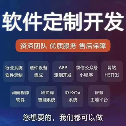 语音APP连麦pk娱乐电商教育系统小程序游戏教务公众号