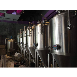 大型精酿啤酒设备厂家工厂型年产20吨-50吨啤酒设备厂家