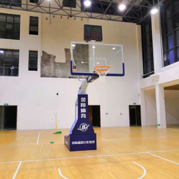 武汉篮球架批发 移动式篮球架 预埋篮球架缩略图