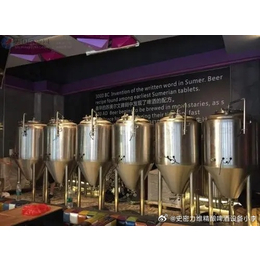 广州精酿啤酒厂4000升原浆鲜啤酿造设备