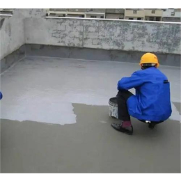 汉高生产 PEO水工防水涂料 施工方便