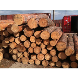 橡胶木东莞哪家报关行进口有优势木材清关公司