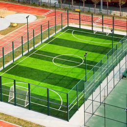 足球场草坪承包 足球场草坪批发 足球场草坪每平米价格