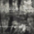 河北现货刺铁丝厂家供应葫芦岛铁蒺藜隔离吉林镀锌带刺铁丝网缩略图3