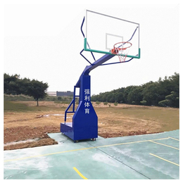 广州篮球架厂家-固定式篮球架厂家-正规篮球架厂家(诚信商家)