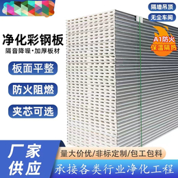 扬州净化板厂家-防火阻燃硅岩净化板定制-丹雷净化板质量好