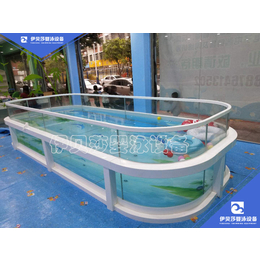 江苏淮安伊贝莎透明玻璃恒温婴儿泳池