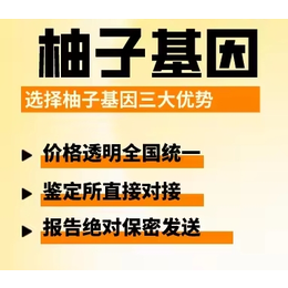 河北省河间市上户口亲子鉴定（附2024年亲子鉴定办理攻略）