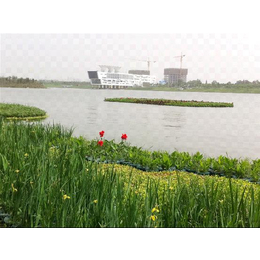 生态浮岛-南京华州环境工程-浮田型生态浮岛