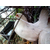 黑康种鸡厂家-永泰种禽(在线咨询)-黑龙江黑康种鸡缩略图1