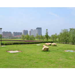 别墅庭院绿化设计-蚌埠绿化-百通生态环境