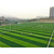人造草坪-天津世纪宏达-河北人造草坪缩略图1