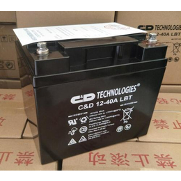 上海大力神蓄电池CD12-100LBT 阀控式密封铅酸蓄电池