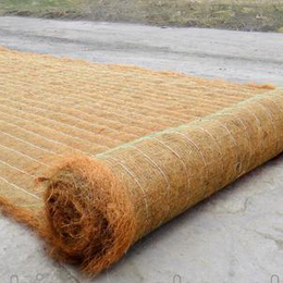 椰丝护坡毯 生态绿化草毯 天然植物纤维毯 保水保温