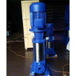 新楮泉泵阀-水厂过滤立式多级泵-水厂过滤立式多级泵参数