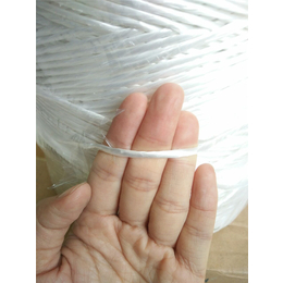 辽宁塑料打捆绳多少钱-瑞祥包装麻绳生产厂家