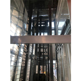 西奥电梯怎么样-泉冠电梯(在线咨询)-秀屿区西奥电梯