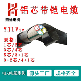 铜仁电力电缆-重庆燕通电缆公司-YJV22电力电缆