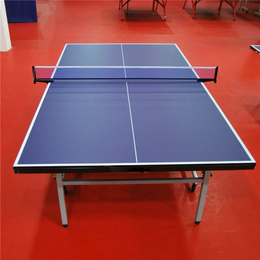 学校用乒乓球台生产厂家-庚宸体育服务周到-黔西南乒乓球台