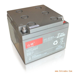 SANTAK电池铅酸蓄电池免维护 C12-200AH