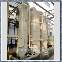 DGS-B型PP玻璃钢酸雾净化塔 空气处理设备 