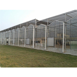 建个玻璃温室大棚多少钱-【诺博大棚设计】-铜川玻璃温室大棚