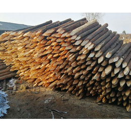 杉木桩价格-杉木桩-宣城宏文木业公司