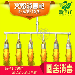 北京火焰消毒枪-鑫佰加畜牧(在线咨询)-多口喷火火焰消毒枪