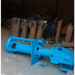 双能水泵厂-广东SP型液下渣浆泵