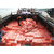    进口巴西食品冻肉到上海港报关需要多少时间缩略图2