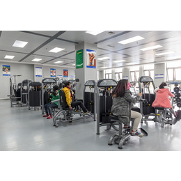 沧州女生室内健身器材生产基地「在线咨询」