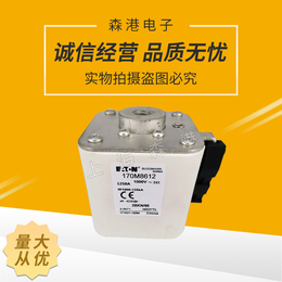 巴斯曼熔断器170M8612全新现货*690v