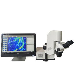 晋中激光散斑血流成像系统-迅微光电