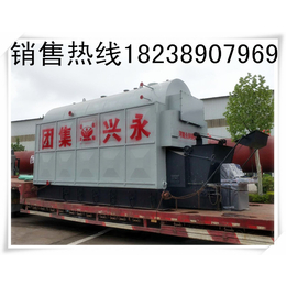 河南永兴锅炉集团供应4吨卧式生物质蒸汽锅炉卧式自动炉排系列