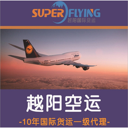 越阳耐心-广州南方航空国际货运代理人服务