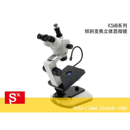 体视显微镜(图)-透射电子显微镜-杭州显微镜