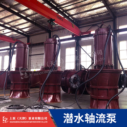 轴流泵价格-轴流泵厂家-天津上泵有限公司