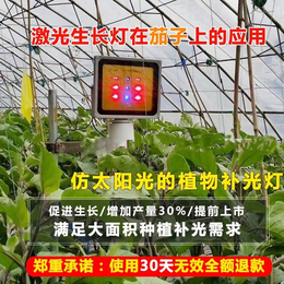 自制led植物灯-植物灯-星丰科技西红柿补光灯