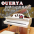 ouerya 欧尔雅钢琴自动演奏系统 酒店餐厅无人自动弹奏缩略图1