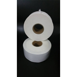赛雅纸业公司(图)-卷筒纸 价格-苍梧卷筒纸