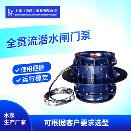QGWZ全贯流潜水闸门泵-天津上泵有限公司
