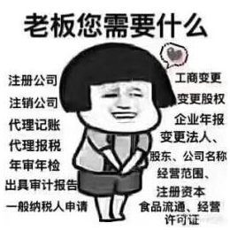 工商注册变更及年报