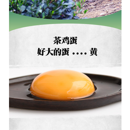 台州无腥味茶鸡蛋高性价比的选择「多图」