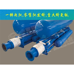 深井潜水泵报价-深井潜水泵-中蓝泵业(查看)