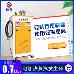 亮普36kw商用电加热蒸汽发生器洗涤熨烫蒸汽清洗设备