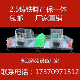 沧州养猪设备母猪连体*栏厂家厂家生产制作质量有保证
